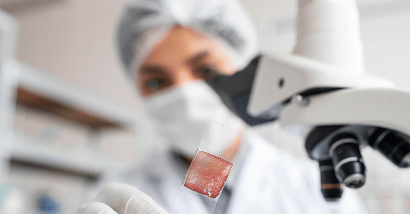 ¿La proteína daña los riñones? Lo que dicen los estudios y por qué el contexto importa